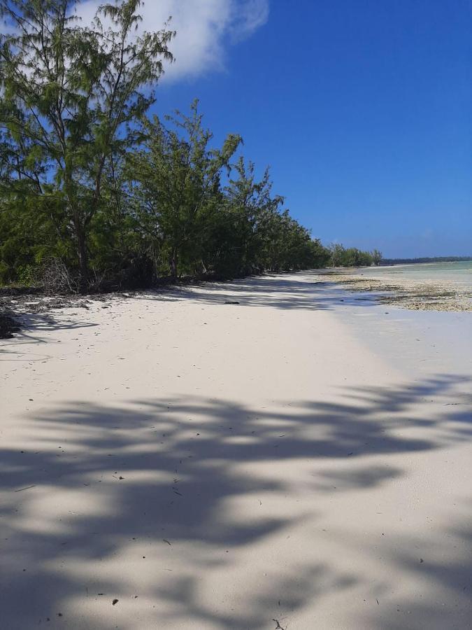 The Cay House Hotel Mangrove Cay Exterior foto